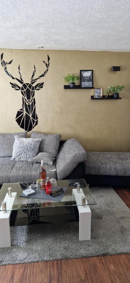 Ferienwohnung 1 Am Berg Apartment Wieda