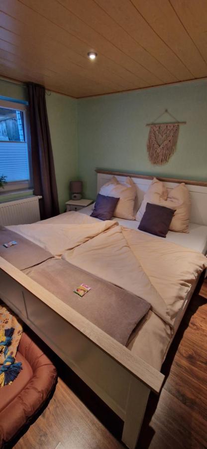 Ferienwohnung 1 Am Berg Apartment Wieda